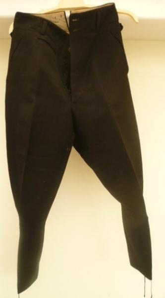 ALLGEMEINE SS OFFICER BREECHES.